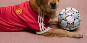 jersey-anjing-man-united-diskon-cashback