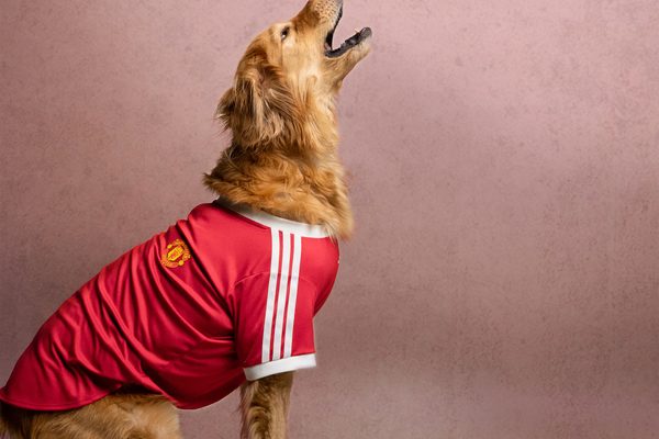 Jersey Anjing Manchester United